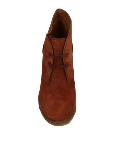 Shop See By Chloé Lace-up Shoes In Brown