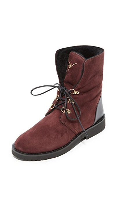 Giuseppe Zanotti Lace Up Shearling Booties In Brown
