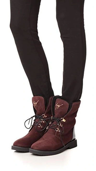 Shop Giuseppe Zanotti Lace Up Shearling Booties In Brown