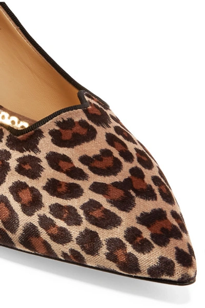 Shop Charlotte Olympia Kitty Leopard-print Velvet Pumps