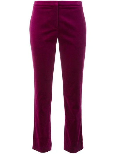 Shop Theory Cropped Tux Pants - Pink