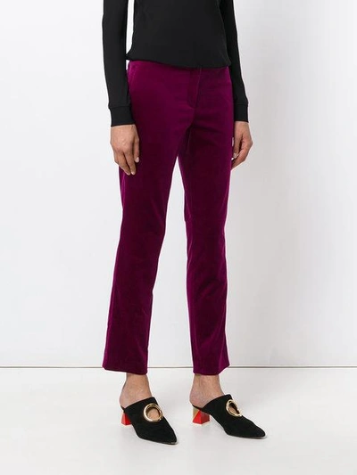 Shop Theory Cropped Tux Pants - Pink