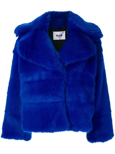 Shop Msgm Blue