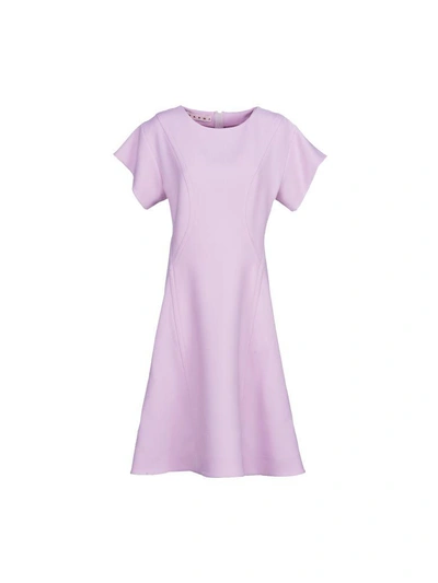 Shop Marni Short-sleeved Flared Dress In Light Pink