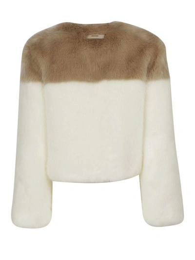 Shop Dondup Contrast Fur Jacket In White/brown