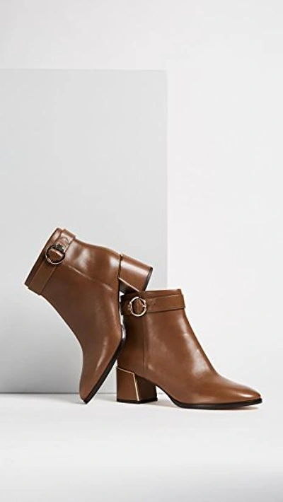 Shop Tory Burch Sofia 60mm Dress Booties In Festival Brown