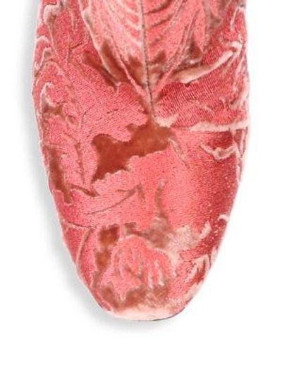 Shop Alexandre Birman Regina Embroidered Velvet Booties In Pale Cherry