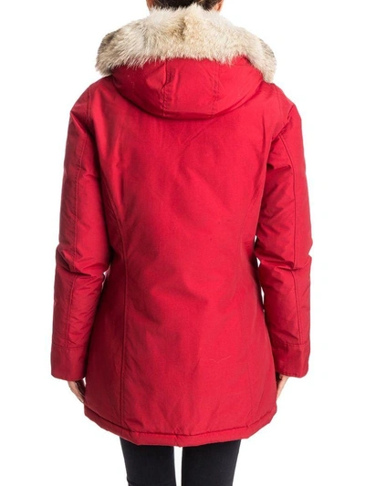 Shop Woolrich Arctic Parka In Red