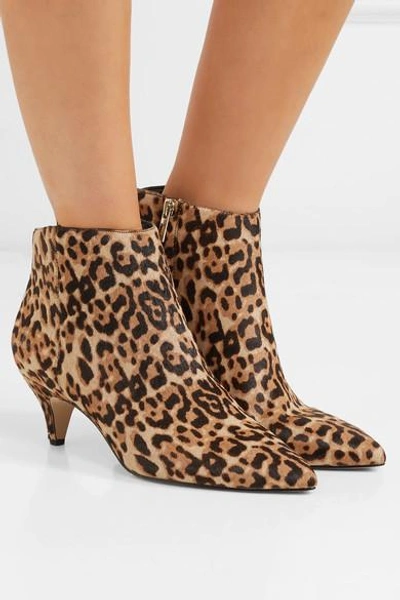 Shop Sam Edelman Kinzey Leopard-print Calf Hair Ankle Boots In Leopard Print