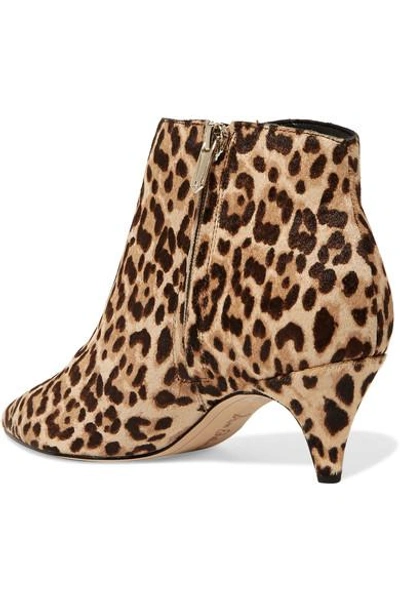 Shop Sam Edelman Kinzey Leopard-print Calf Hair Ankle Boots In Leopard Print