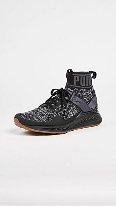 Beide Haarvaten Het hotel Puma Ignite Evoknit Hypernature Trainers In Black | ModeSens