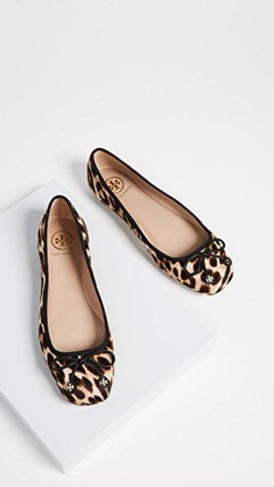 Shop Tory Burch Laila Driver Ballet Flats In Leopard