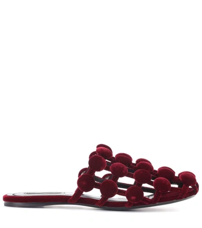 Shop Alexander Wang Velvet Slip-on Sandals In Lordeaux