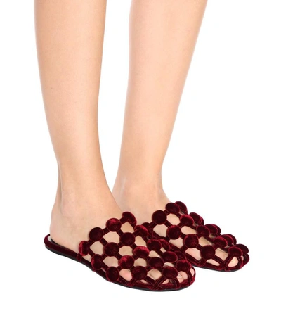 Shop Alexander Wang Velvet Slip-on Sandals In Lordeaux