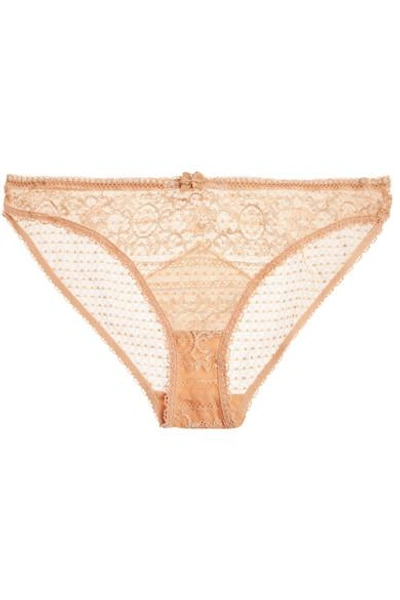Shop Stella Mccartney Ophelia Whistling Stretch-leavers Lace Briefs In Peach