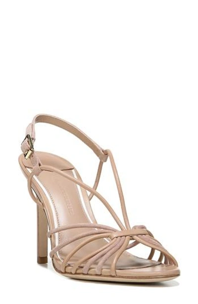 Shop Diane Von Furstenberg Women's  Milena Slingback Sandal In Powder