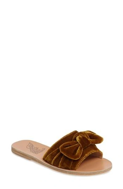 Shop Ancient Greek Sandals Taygete Bow Slide Sandal In Mustard