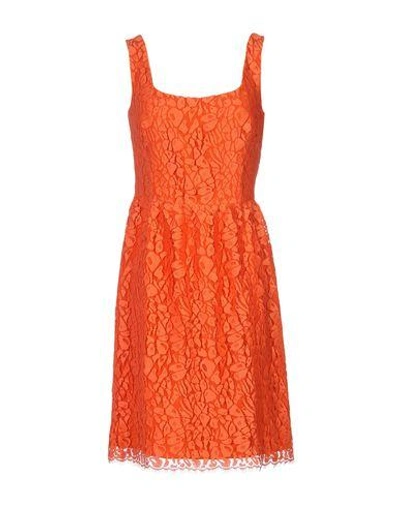 Shop Issa Short Dress In Orange