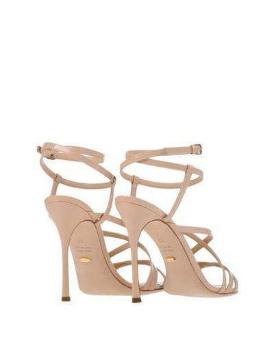 Shop Sergio Rossi Woman Sandals Beige Size 5 Leather