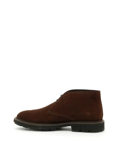 Shop Tod's Desert Boots In Caffe|marrone