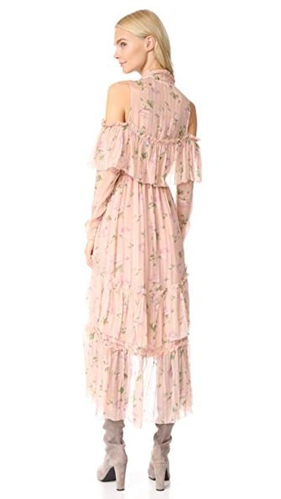 Shop Ulla Johnson Marion Dress In Rose