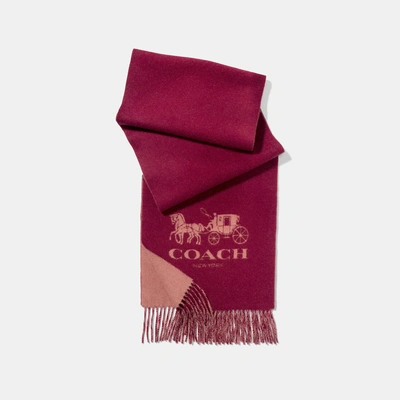 Shop Coach Horse And Carriage Bicolor Cashmere Muffler - Women's In Cherry/melon