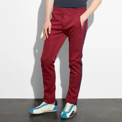 Coach Track Pants In Wine
