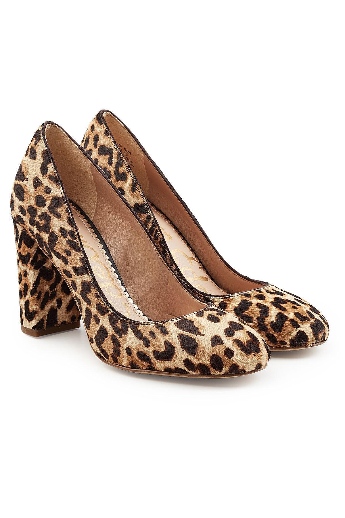 Sam Edelman Leopard Printed Calf Hair Pumps In Animal Print | ModeSens