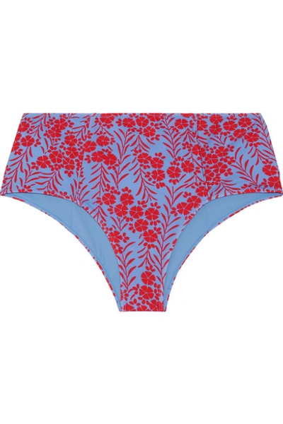 Diane Von Furstenberg Floral-print Bikini Briefs