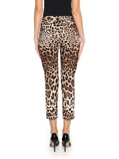 Shop Dolce & Gabbana Leopard Print Trousers In Stampa|beige