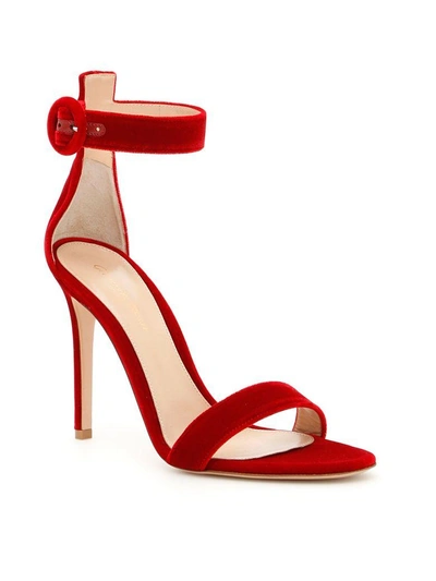 Shop Gianvito Rossi Velvet Portofino Sandals In Tabasco Red|rosso