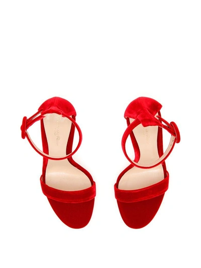 Shop Gianvito Rossi Velvet Portofino Sandals In Tabasco Red|rosso