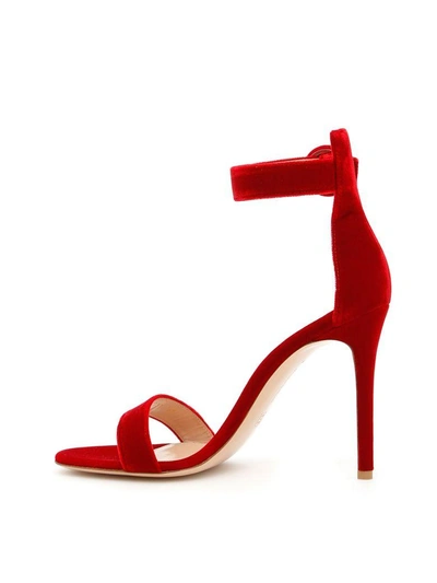 Shop Gianvito Rossi Velvet Portofino Sandals In Tabasco Red|rosso