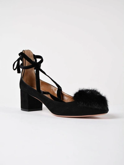 Shop Aquazzura In Love Pump 50 In Black