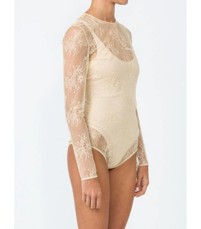 Shop Off-white Nude Neutrals Lace Bodysuit