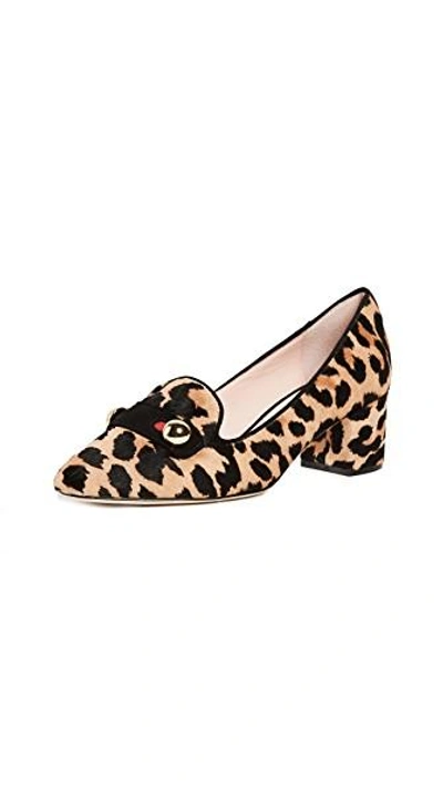 Shop Kate Spade Margery Pointed Toe Pumps In Leopard