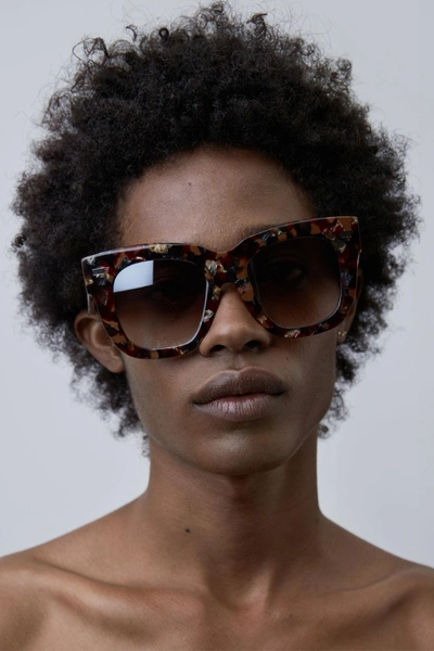 Library Metal Turtle Sunglasses In Brown