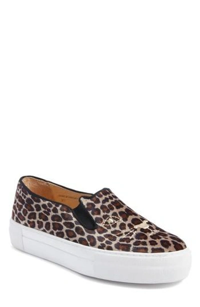 Shop Charlotte Olympia Cool Cats Slip-on Sneaker In Leopard Velvet