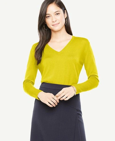 Shop Ann Taylor Extrafine Merino Wool V-neck Sweater In Gold Ochre