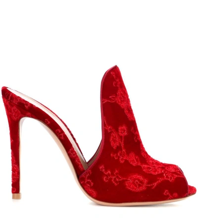 Shop Gianvito Rossi Shanghai Embroidered Velvet Mules In Red