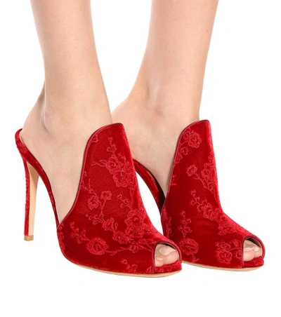 Shop Gianvito Rossi Shanghai Embroidered Velvet Mules In Red
