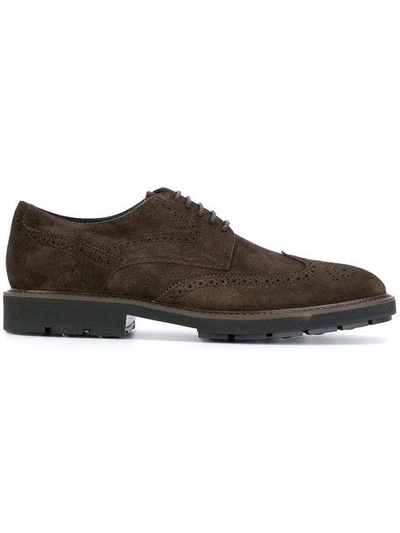 Shop Tod's Brogue Detail Derby Shoes - Brown