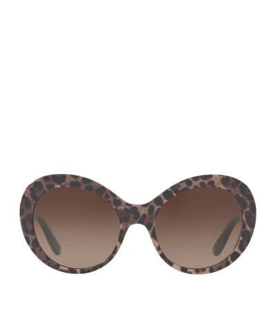 Shop Dolce & Gabbana Leopard Print Oval Sunglasses In Brown