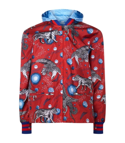 Shop Gucci Animal Print Nylon Bomber Jacket In Navy