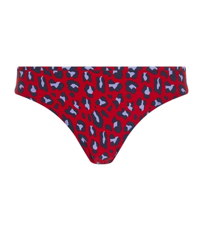 Shop Stella Mccartney Leopard Print Bikini Bottoms In Red