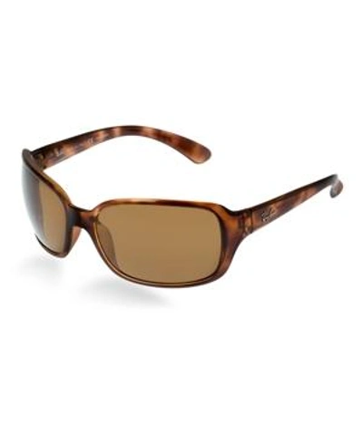 Shop Ray Ban Ray-ban Polarized Sunglasses, Rb4068 In Tortoise