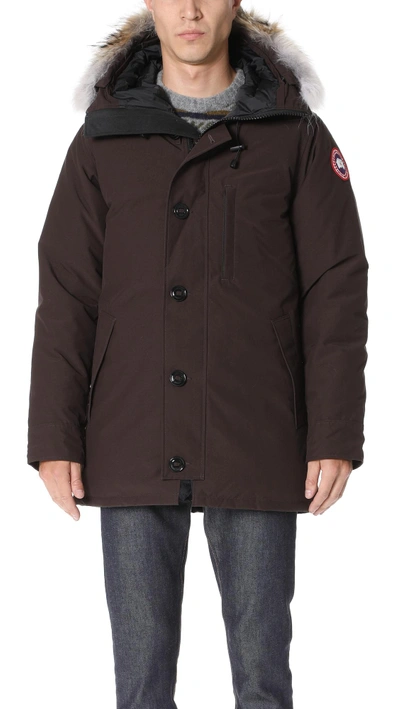 Canada goose chateau clearance parka charred wood