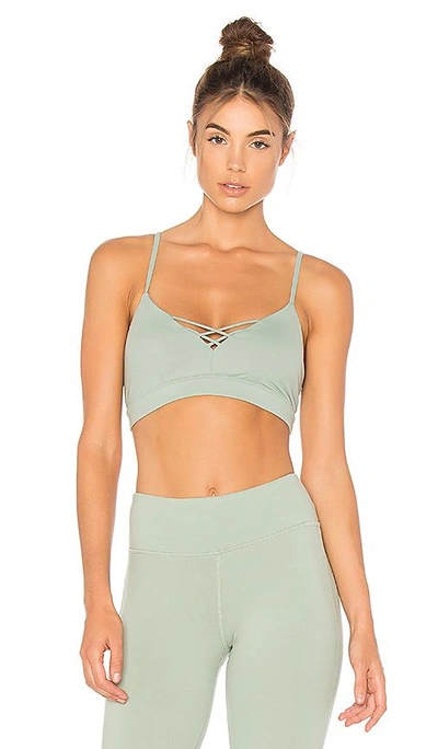 Shop Alo Yoga Interlace Bra In Sage