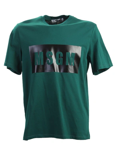 Shop Msgm Logo Printed Cotton T-shirt In Green