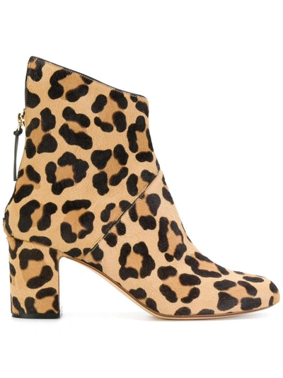 Shop Francesco Russo Leopard Print Ankle Boots
